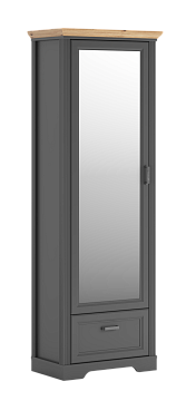Шкаф SZF1L1S