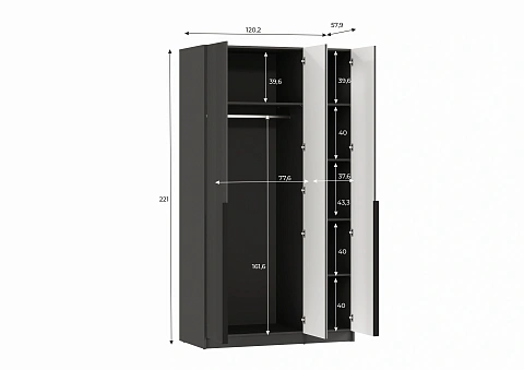 Шкаф (Графит) SZF2D1L